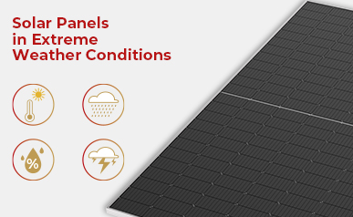 Van regendruppels tot stralen: ontdekken hoe zonnepanelen zich aanpassen aan het steeds veranderende weer